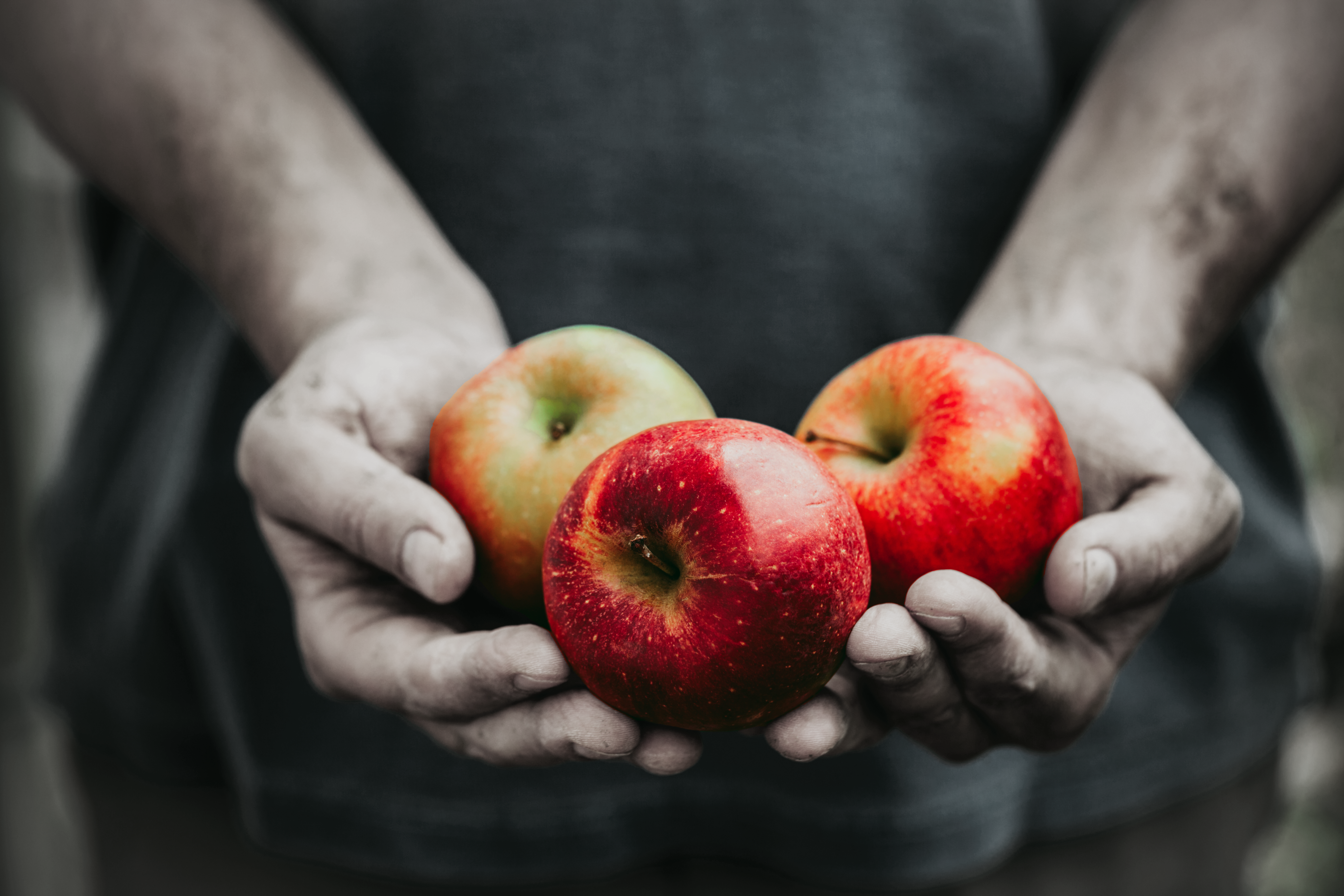 hands holding apple